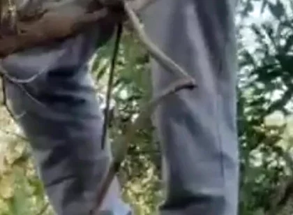 Hot Amateur Boy Sucks and Rims in the Woods
