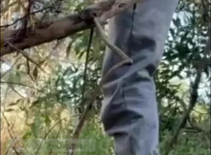 Hot Amateur Boy Sucks and Rims in the Woods