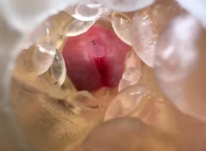 Huge Creampie with Internal View While Fucking Fleshlight, Moaning and Dirty Talking