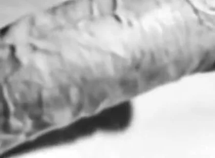 Revealing My Big White Hard Cock