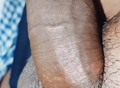 Penis