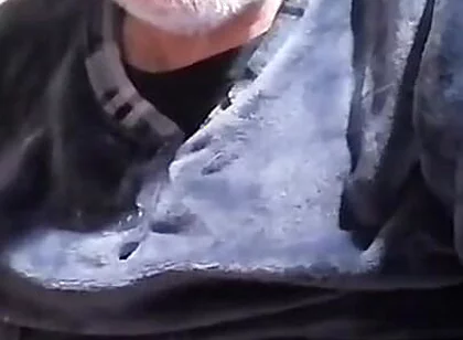 David's Porn Show