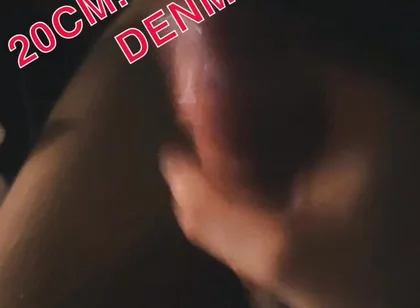 Danish Cock