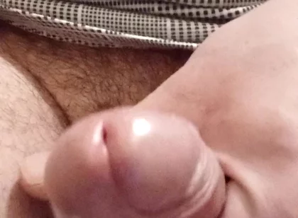 Beautiful Dick