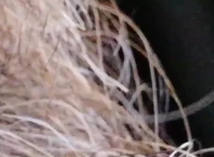 Kissing, Spitting on and Fucking My Stunt Mouth