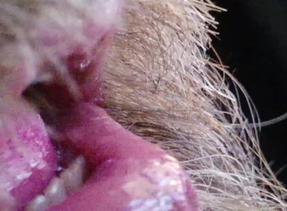 Kissing, Spitting on and Fucking My Stunt Mouth