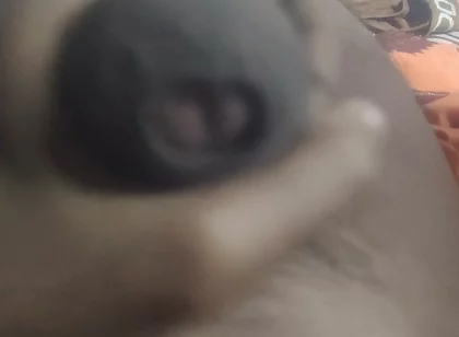 Aunty's Pussy Became Wet After Seeing My Penis.