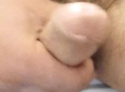 Stay Close to My Penis