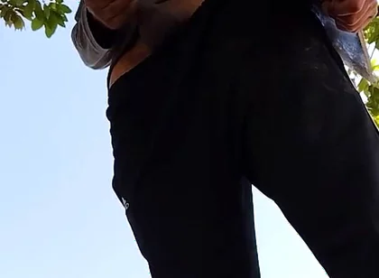 A Normal Day in the Park