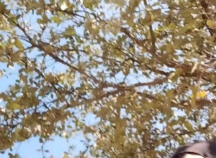 Me in the Park Alone Giving Pleasure to Till I Get Milk