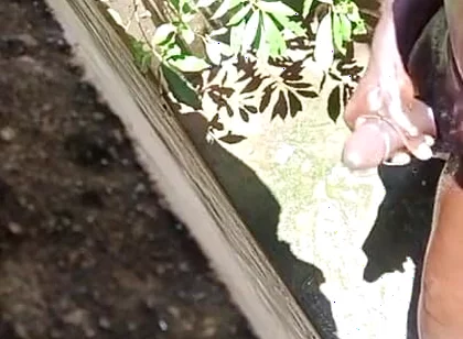 Hot Sunny Day Dick Massage Gone Wild