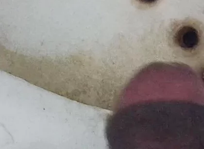 Land Dkkd