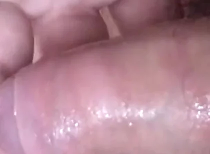 Sounding My Bear Cock