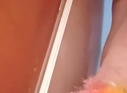 Rainbow Duster