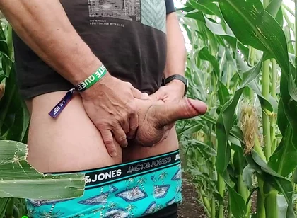 Dirty Jerking off My Big Cob in the Cornfield, Showing My Asshole and Squirting Cream on a Leaf.