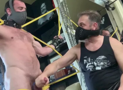 Milking Mike Gaite