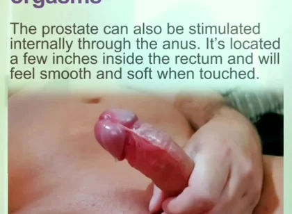 Prostate Orgasams Anal