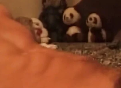 Throbbing Cock Deepthroat Gagging Till Drooling Mess