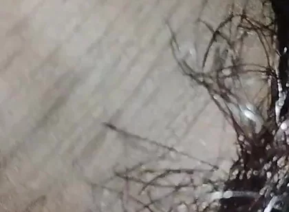 Indian Desi Boy Penis