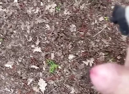 In the Natur #1