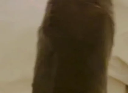 Nothing Stops Me From Wanking to Porn Daily