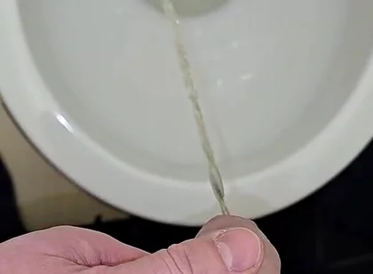 Pissing to the Toilet
