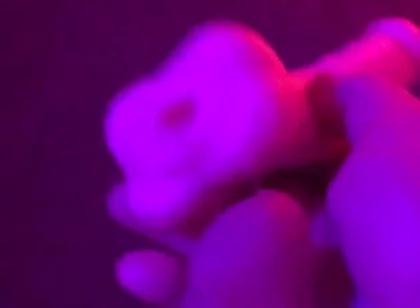 Fun Toy Play