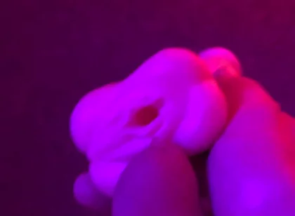 Fun Toy Play