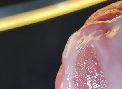 Wet Penis Gets Masturbated