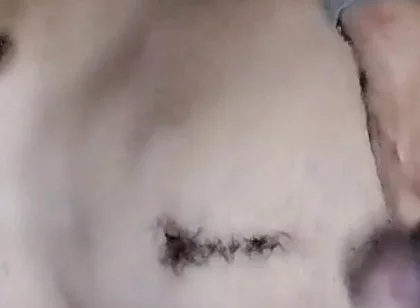 Ass Hole Show