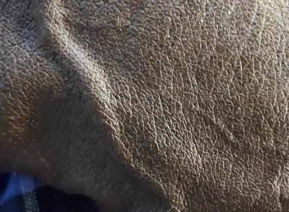 Veiny BBC Flashing