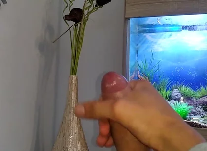 Hot Young Guy Wanks His Nice Big Cock Until He Cums Slowly in Front of the Aquarium
