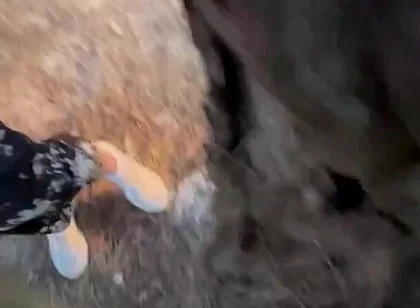 Amateur Guys Cruising for Sex
