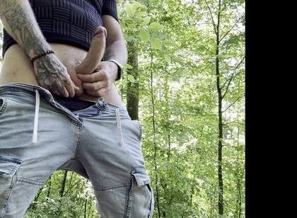 Hot Break in the Forest