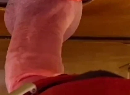 Thick Stepdaddy Cock Gets Tongue & Lip Worship - First Load Too Early Down the Throat, Second in Cum Glass