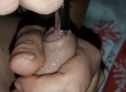 Solo Cock