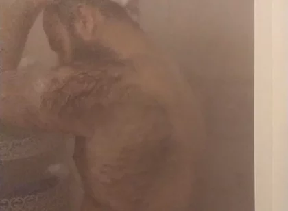 Take a Shower