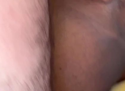 Lobo & Bear Vs Toro