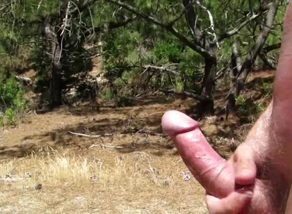 Nude Wank in the Woods and Fields 2