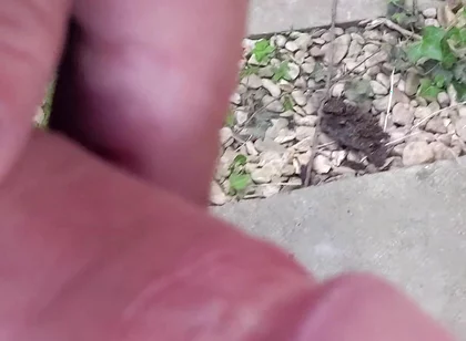 Big Uncut Cock Close up Outdoor Masturbation Wearing Denim Shorts - Rockardglans