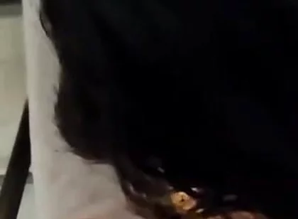 The Boy Sucks the Cock of the Mature Daddy
