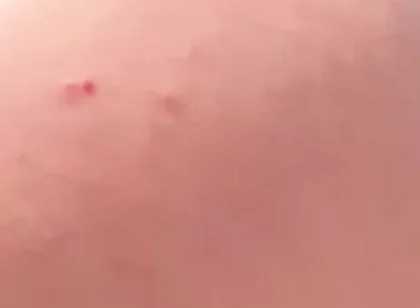 My Big Ass Is Way Better Than a Woman’s, and It Never Gets Pregnant.