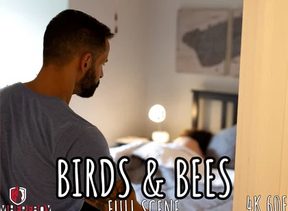 Birds and Bees - Full - David Finds Stepson Joseph Watching Gay Porn. Time for the Talk and the Dick!