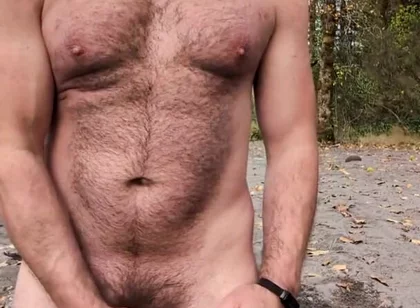 A Bear in the Wild