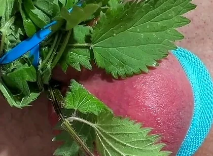 Cum with Nettles Inside Dick