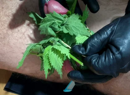 Cum with Nettles Inside Dick