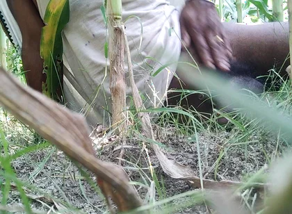 The Village Boy Went to the Cornfield and Hit Him Hard