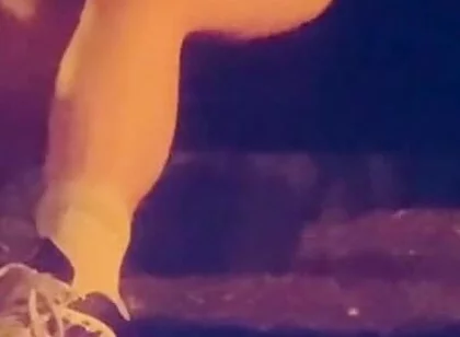 Horny Straight Boys Get Curious at Night