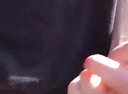 The Sunshine