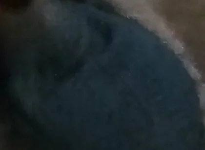 Who Wants My Dick?